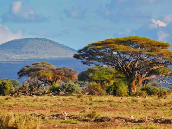 Buying Land in South Africa